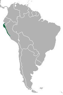 Мапа поширення виду Lycalopex sechurae