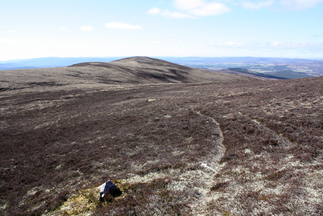 File:Sgor Gaoithe, Cromdale Hills - geograph.org.uk - 1260891.jpg