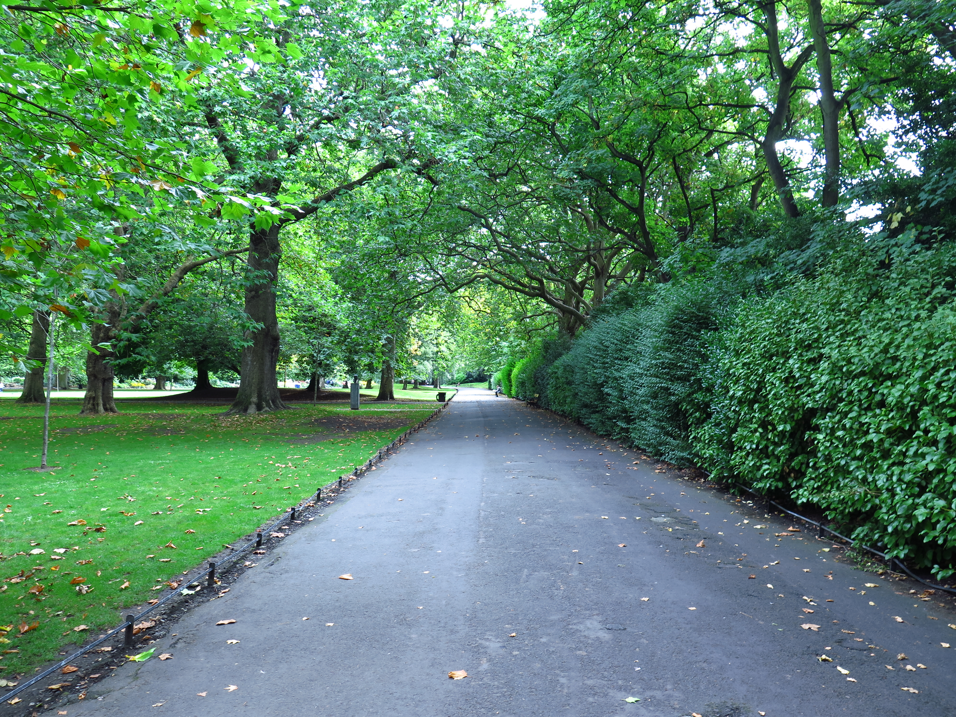 Stephen's green