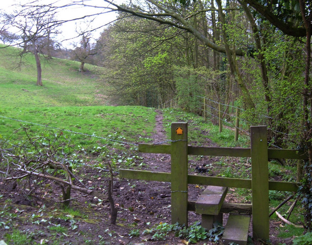 File:Stile on Hocker Lane, Shawcross - geograph.org.uk - 158358.jpg