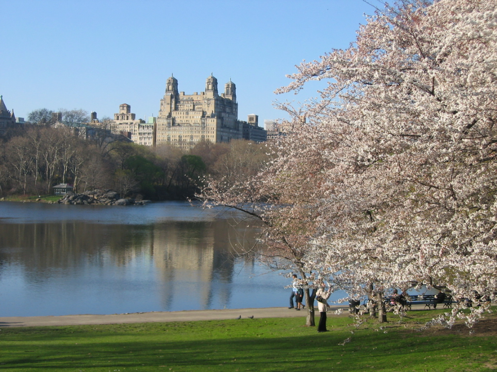 5 NYC Parks That Are Larger Than Central Park - Untapped New York