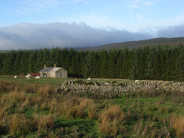 File:The Rigg, Burnhope - geograph.org.uk - 270617.jpg