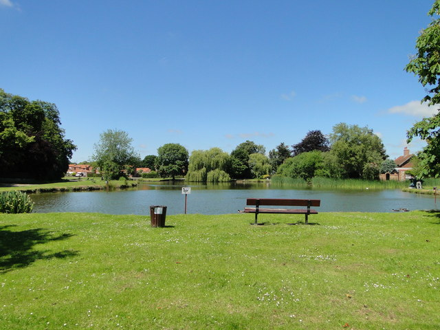 The village pond at Great Massingham - geograph.org.uk - 1919465