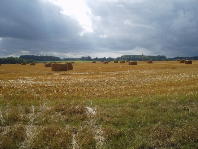 File:Tollard Green fields - geograph.org.uk - 223655.jpg