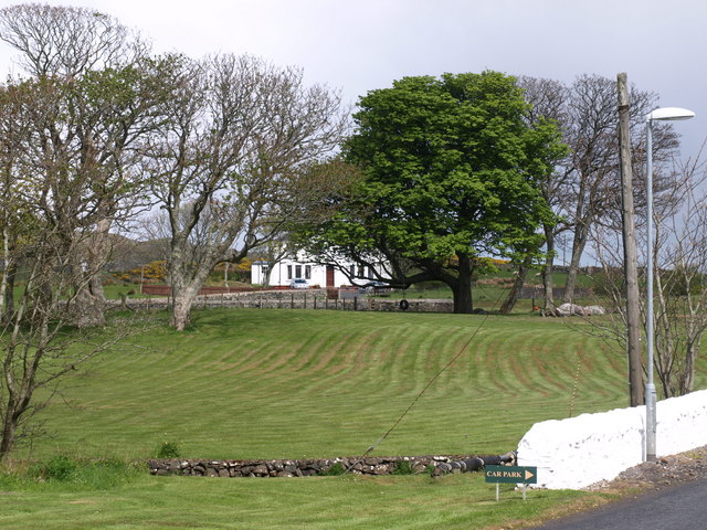 File:Trees in Lagavulin - geograph.org.uk - 1852537.jpg