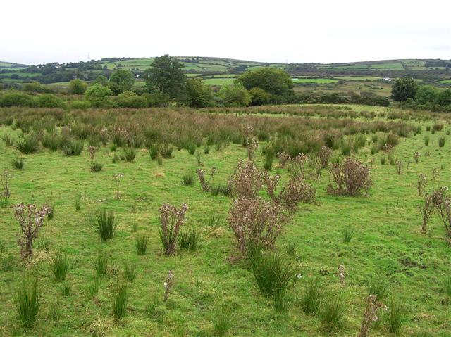 File:Umrycam Townland - geograph.org.uk - 546608.jpg