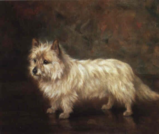 File:West Highland Terrier by Frances C. Fairman (2).jpg