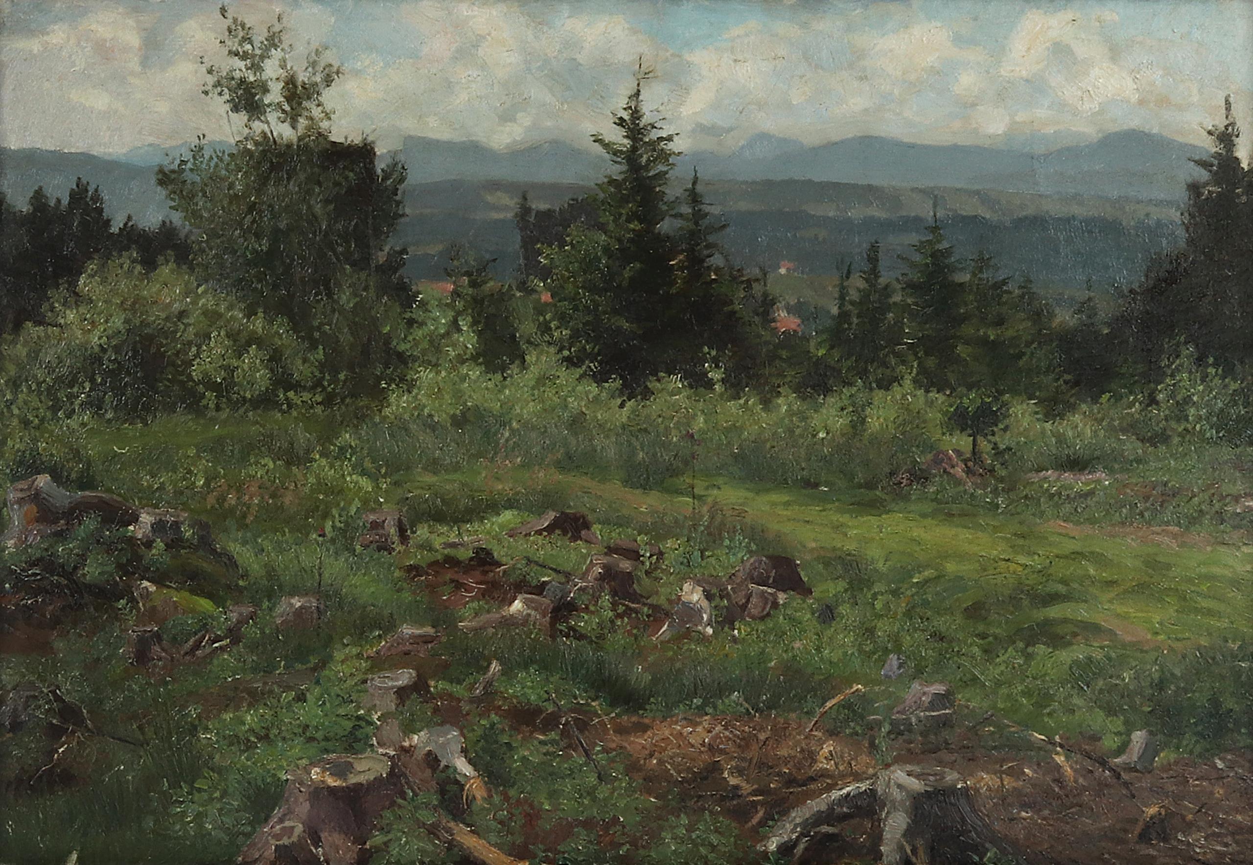 Wilhelm Gräbhein - Thüringer Landschaft.jpg
