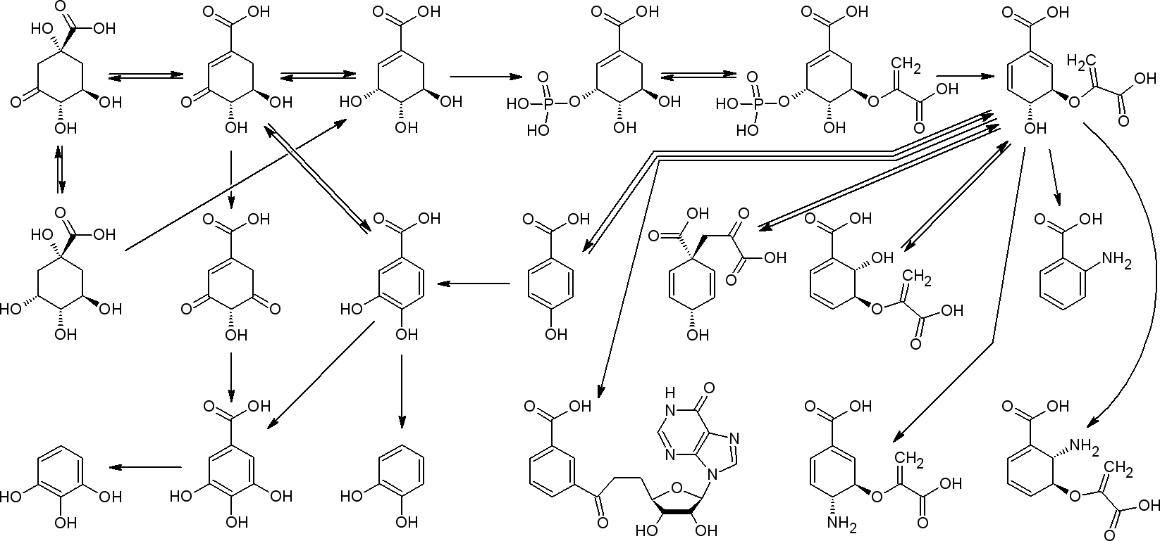 Нитрозепам. Шикиматный путь биосинтеза фенольных соединений. Шикиматный путь синтеза фенольных соединений. Шикиматный путь хинная кислота. Диазепам Синтез.
