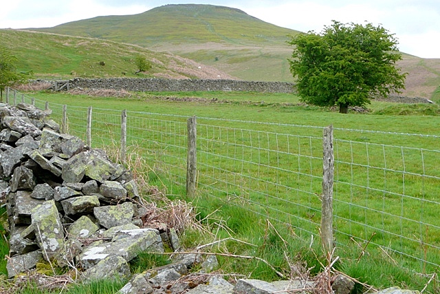 File:Above Cwm Gwenffrwd - geograph.org.uk - 1299434.jpg