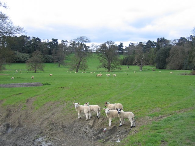 File:Avon Dassett - geograph.org.uk - 4003.jpg