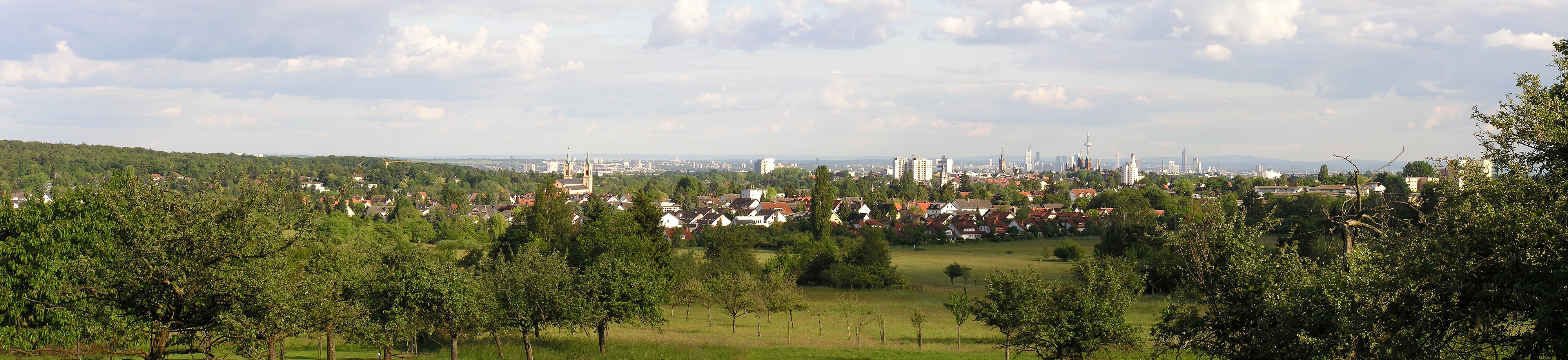 Bad Homburg-Panorama.jpg