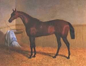 <span class="mw-page-title-main">Beeswing (horse)</span> British-bred Thoroughbred racehorse