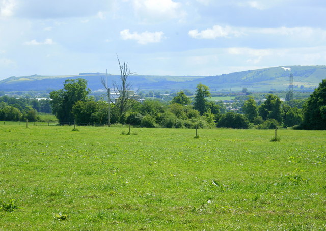 File:Cow pasture behind Overcourt Farm - geograph.org.uk - 841598.jpg