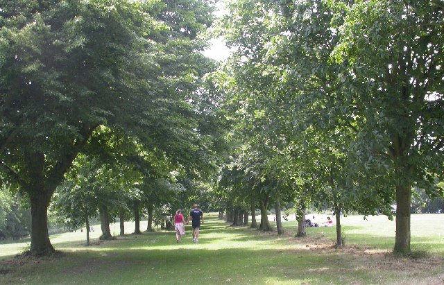 Farnham Park - geograph.org.uk - 20064