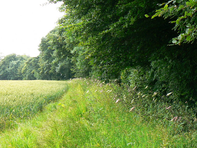 File:Field margin, near Badminton - geograph.org.uk - 486791.jpg