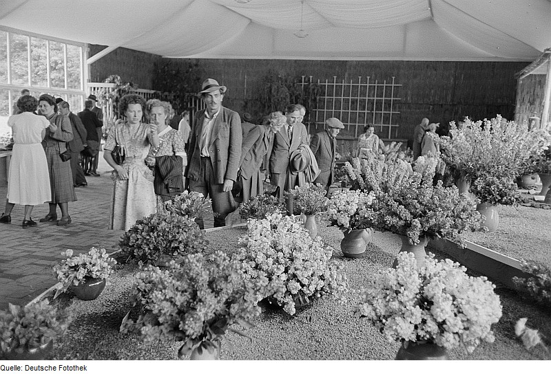 File:Fotothek df roe-neg 0006320 002 Besucher vor Blumenarrangements.jpg