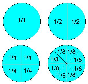 A circle divided into fractions