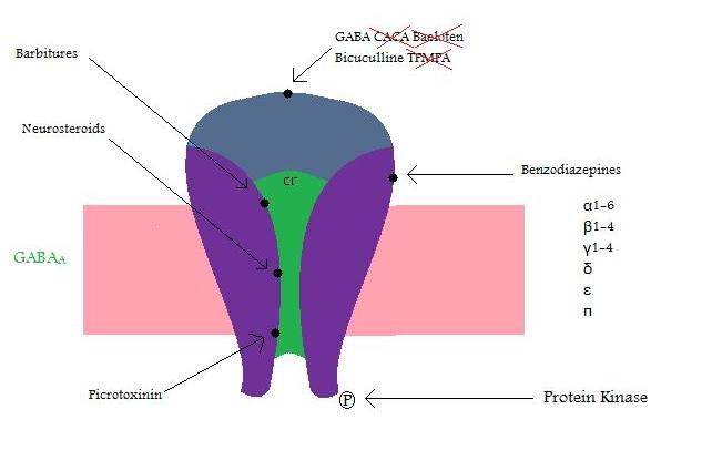 File:GABAA receptor binding sites.jpg