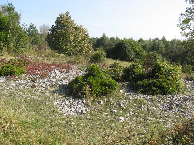 Goblin Combe - geograph.org.uk - 980847