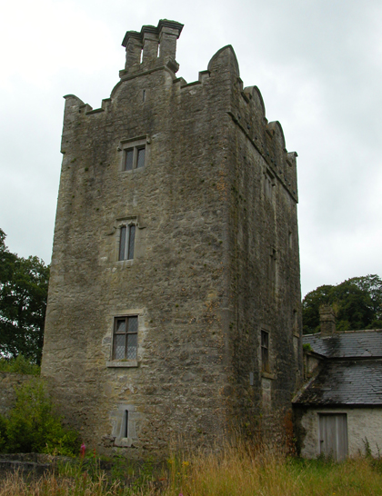 File:Grange Castle, County Kildare.jpg