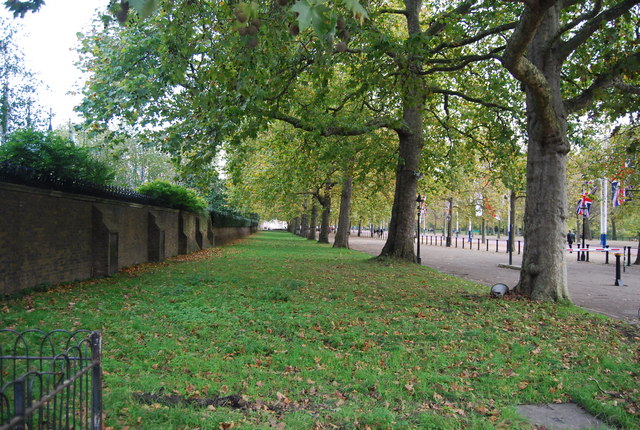 File:Greenery along The Mall - geograph.org.uk - 4315411.jpg