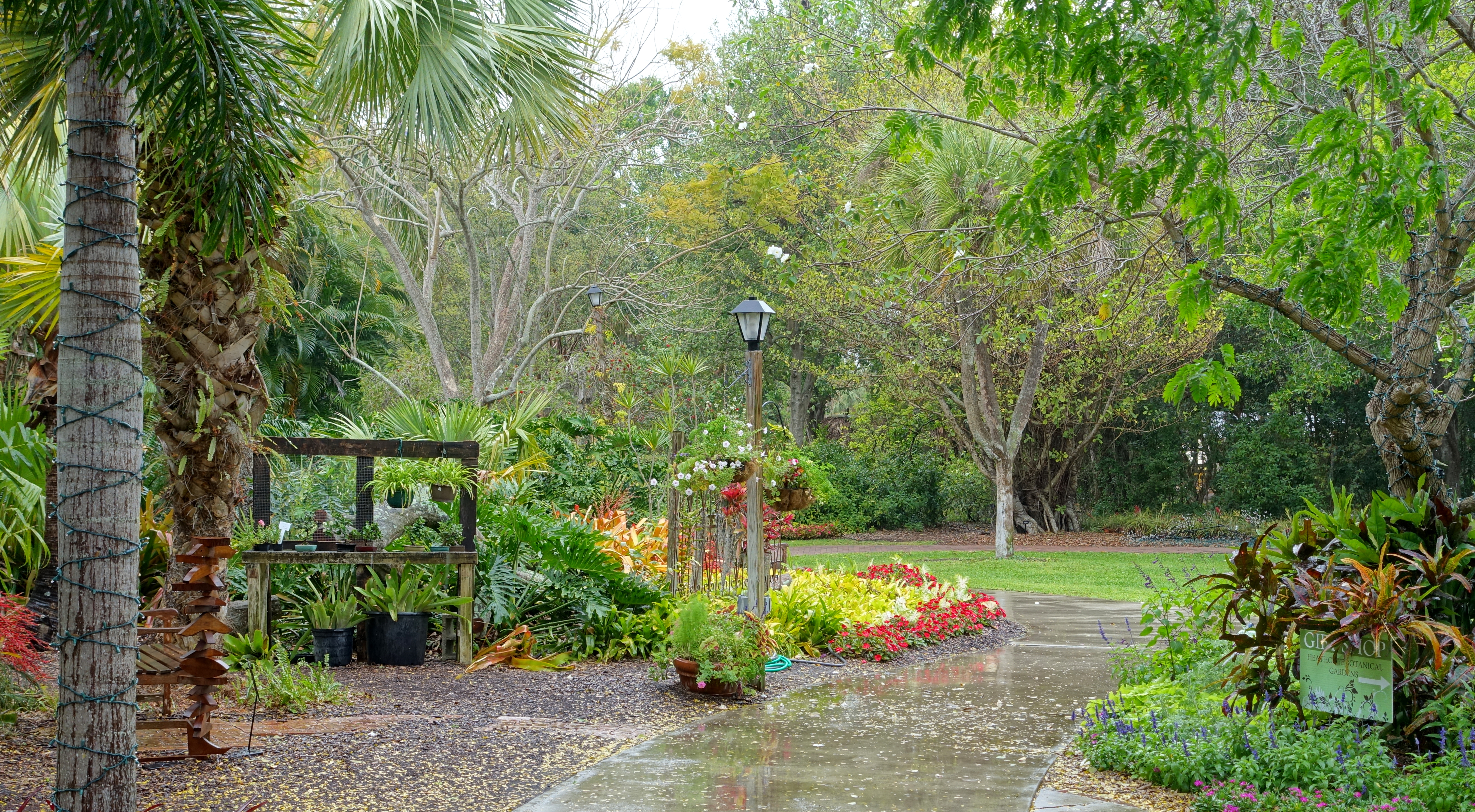 File Heathcote Botanical Gardens Fort Pierce Florida Dsc03276