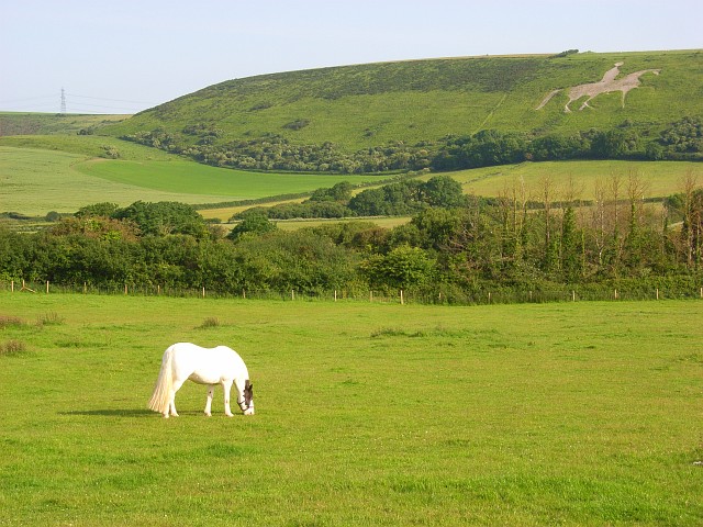 Horse, Osmington - geograph.org.uk - 847529