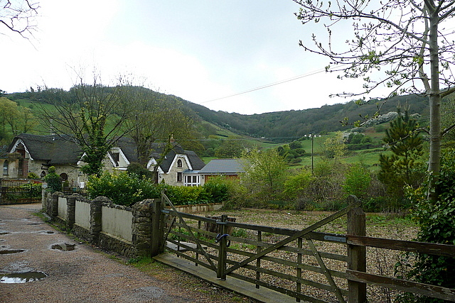 Luccombe Chine - geograph.org.uk - 1897811