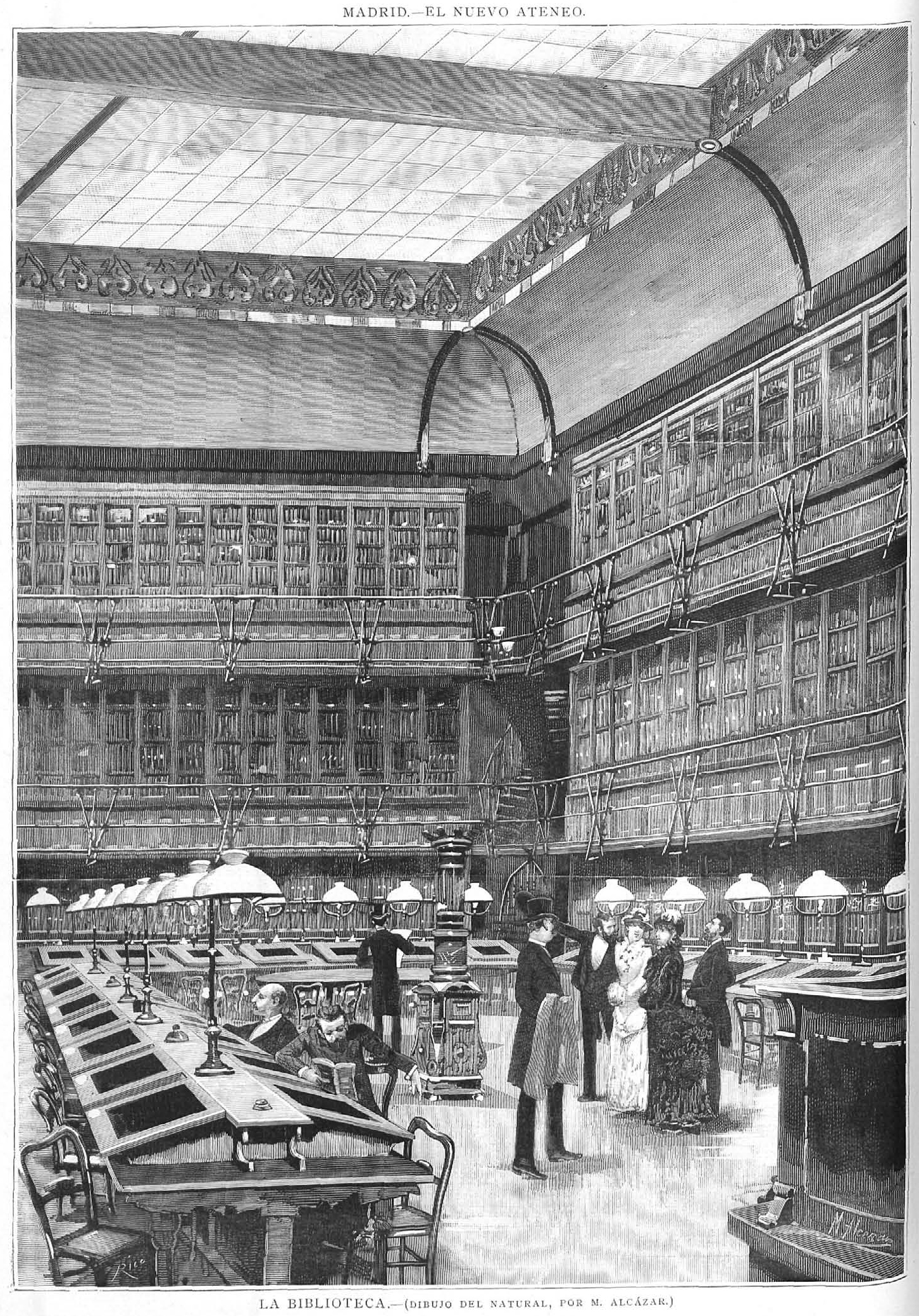 Biblioteca, dibujo de [[Manuel Alcázar