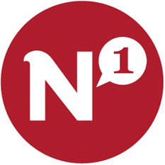 File:N1 Logo.png