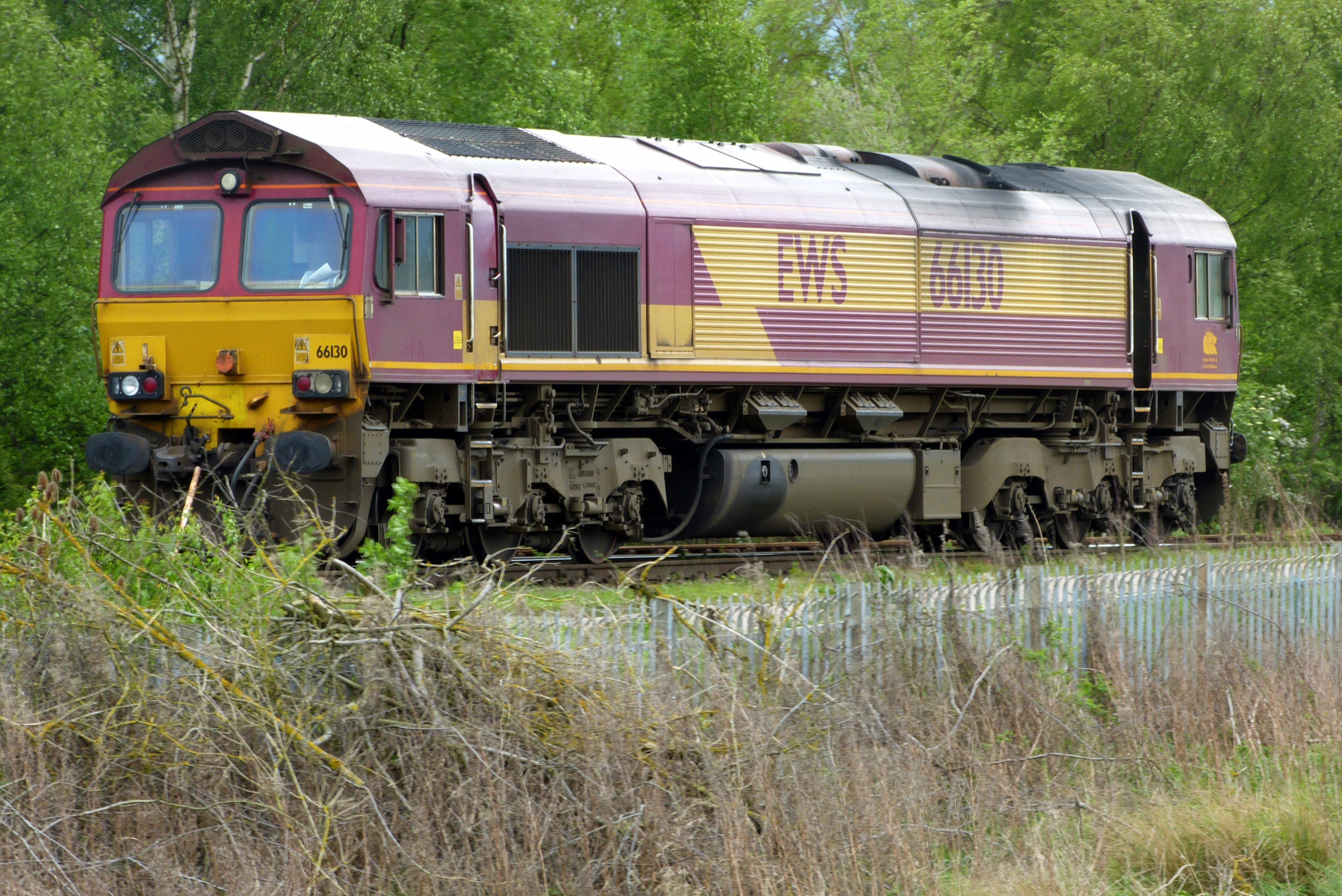 Class 66 EWS.