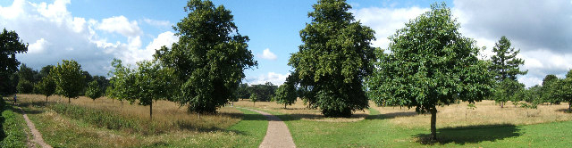 Nonsuch Park Hour