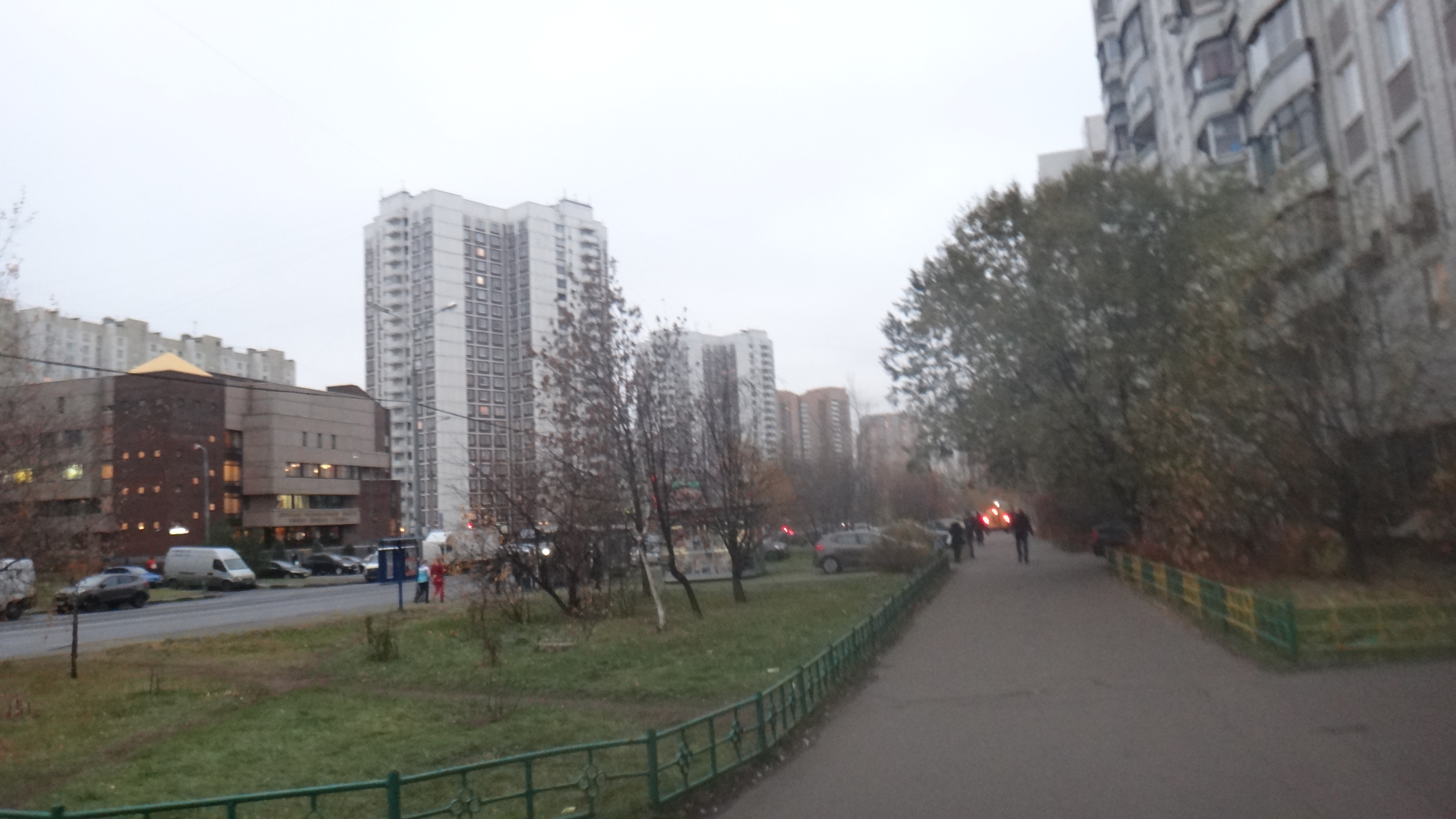 новокосино в москве