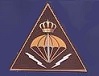 QRF brigade insignia.jpg