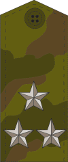 File:RAF A F5Col 2010field.png