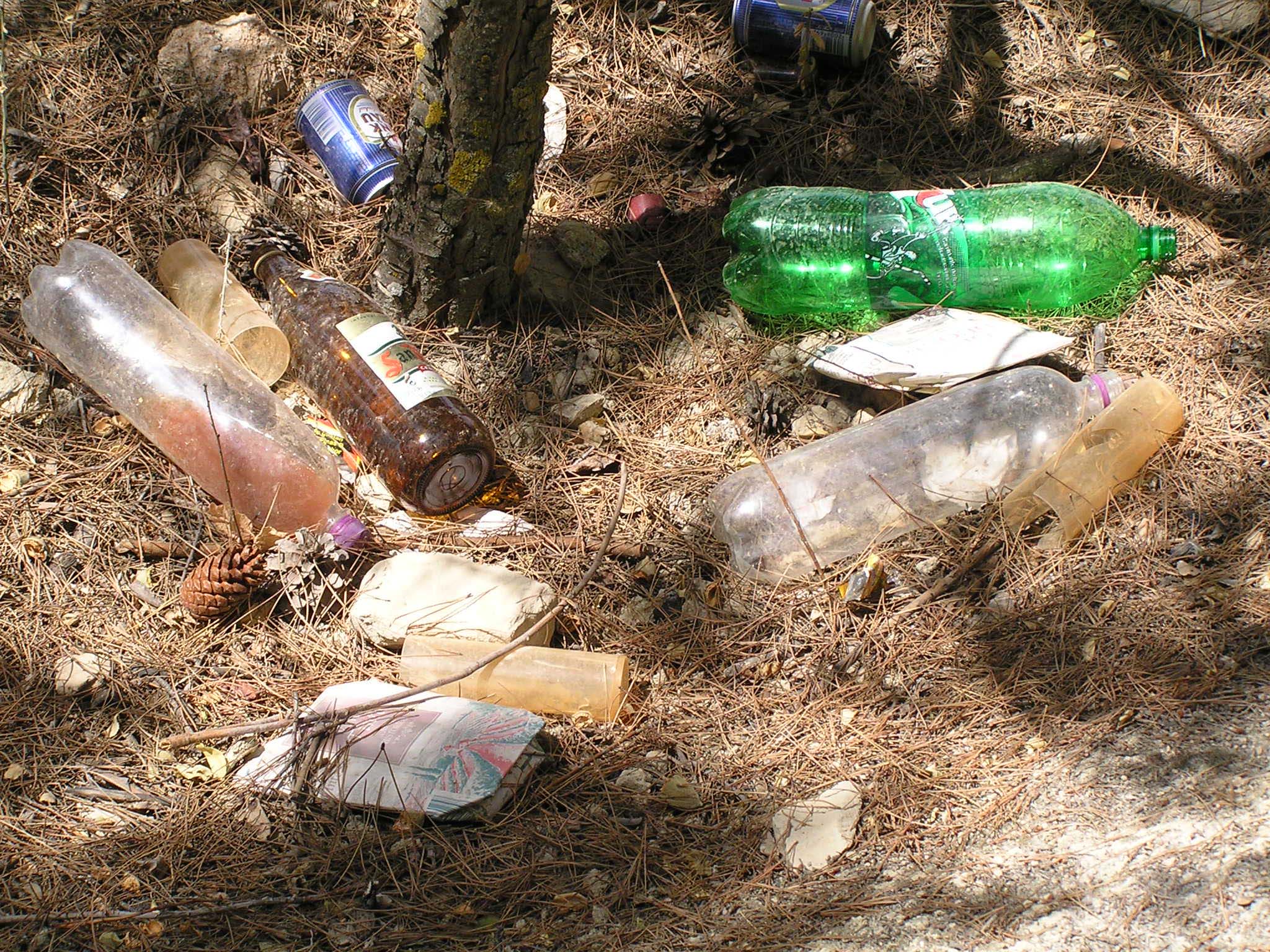 Empty soda and liquor bottles, paper, and glasses left scattered under some trees