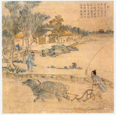 File:Rice farming.jpg