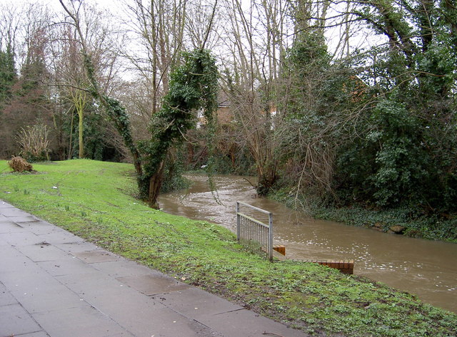 File:River Pinn after winter rain - geograph.org.uk - 338140.jpg