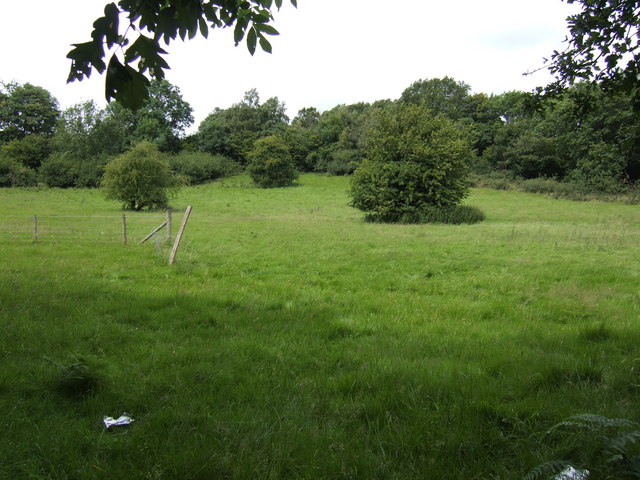 File:Scrubby pasture near Cwmclyn - geograph.org.uk - 507089.jpg