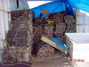 Small tied bales of flat gray objects, the shark fins, messily stacked underneath a translucent tent-like roof between white walls.