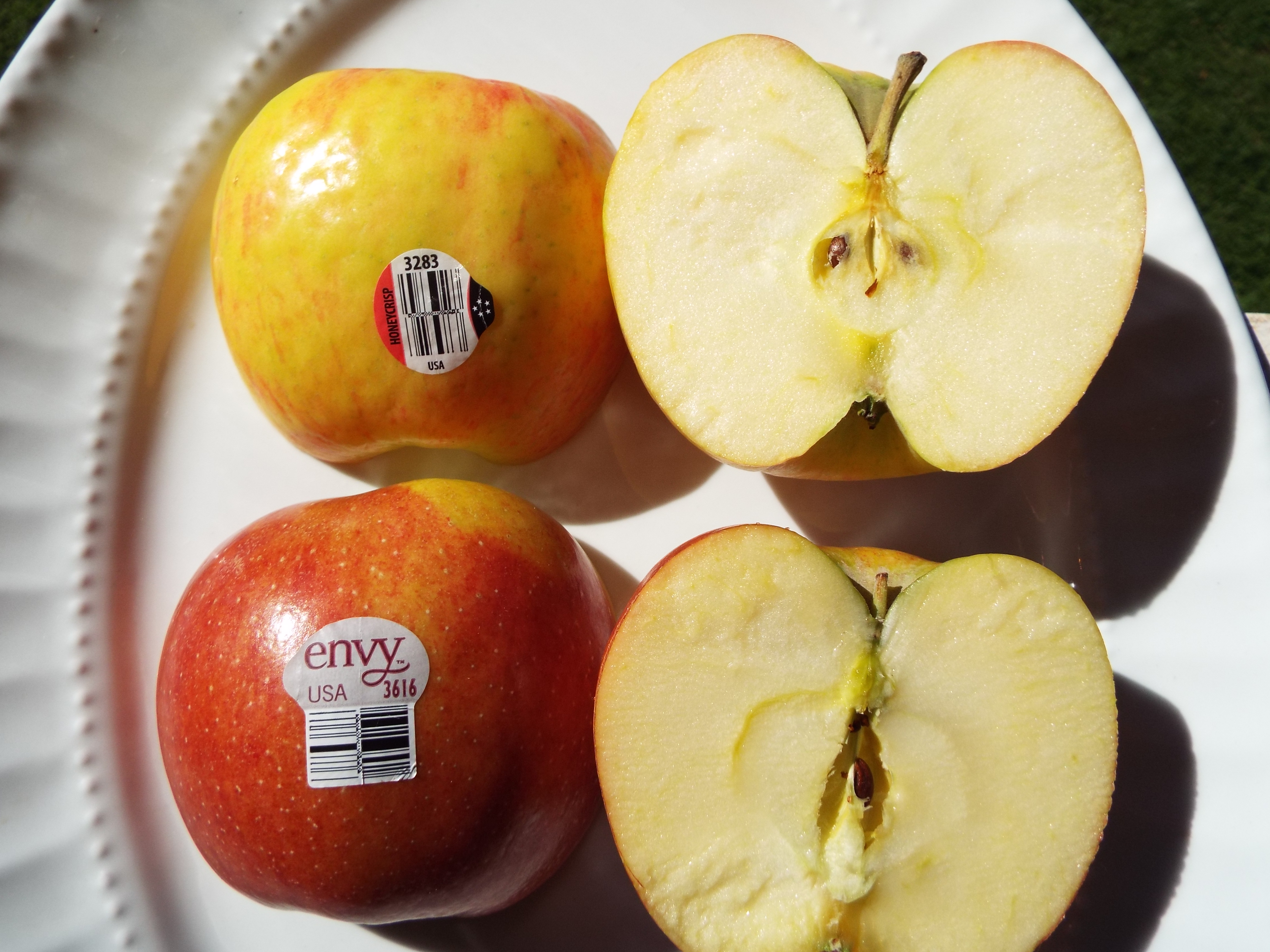 https://upload.wikimedia.org/wikipedia/commons/0/05/Starr-131226-3099-Malus_pumila-Honeycrisp_and_Envy_fruit_from_Foodland-Hawea_Pl_Olinda-Maui_%2825136103081%29.jpg