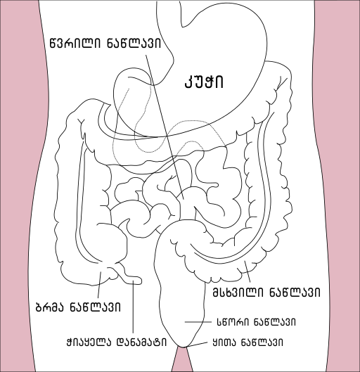 File:Stomach colon rectum diagram-ka.png