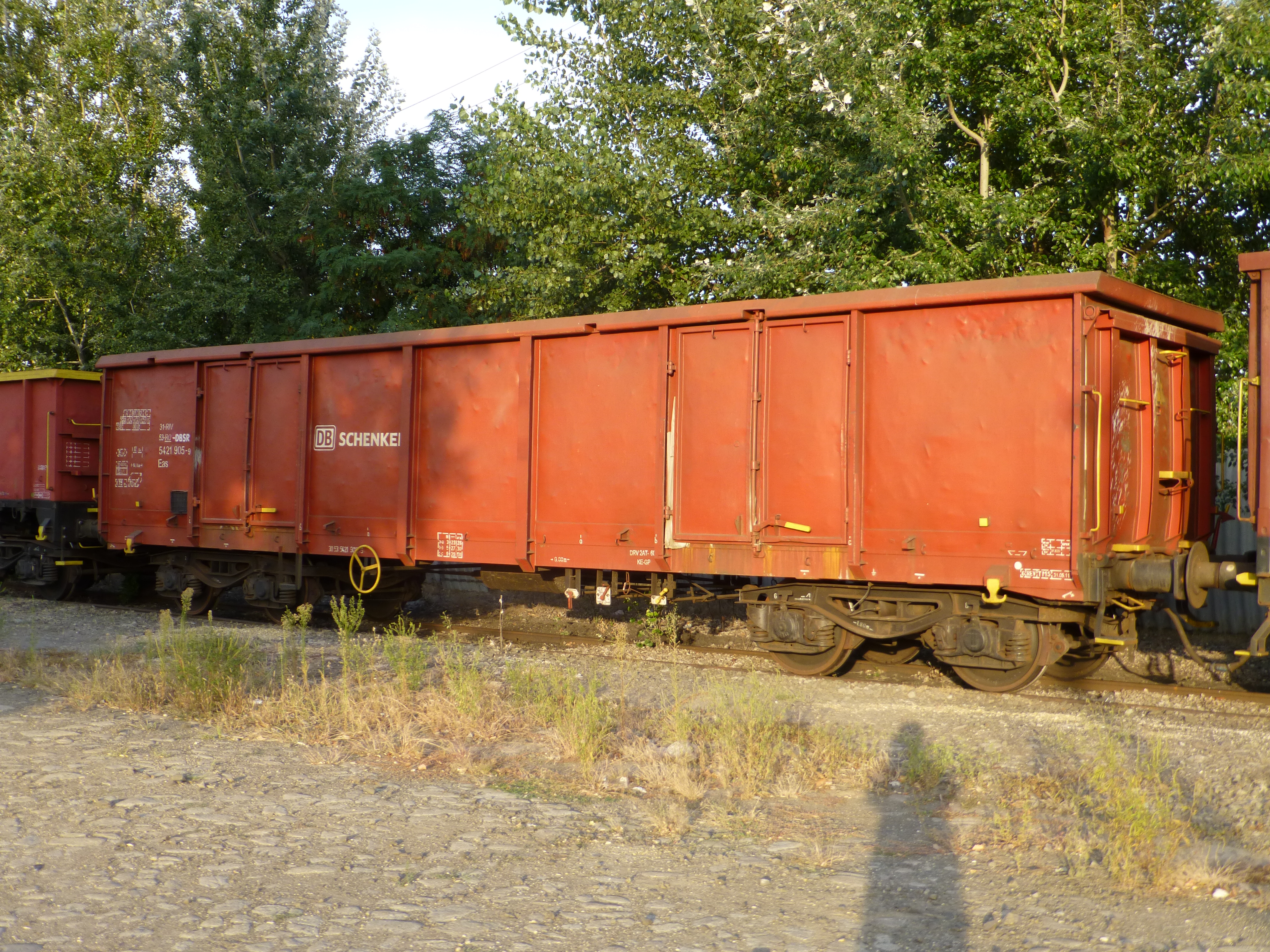 File:Szeged-Rókus RO-DBSR Eas 5421 905-9 teherkocsi 2012-08-22.JPG