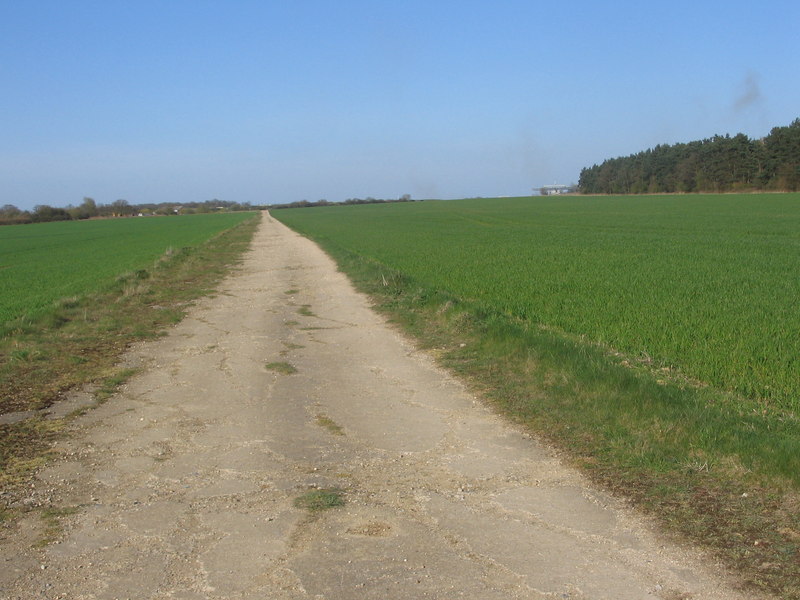 File:Taxiway at RAF Nuthampstead - geograph.org.uk - 2386672.jpg