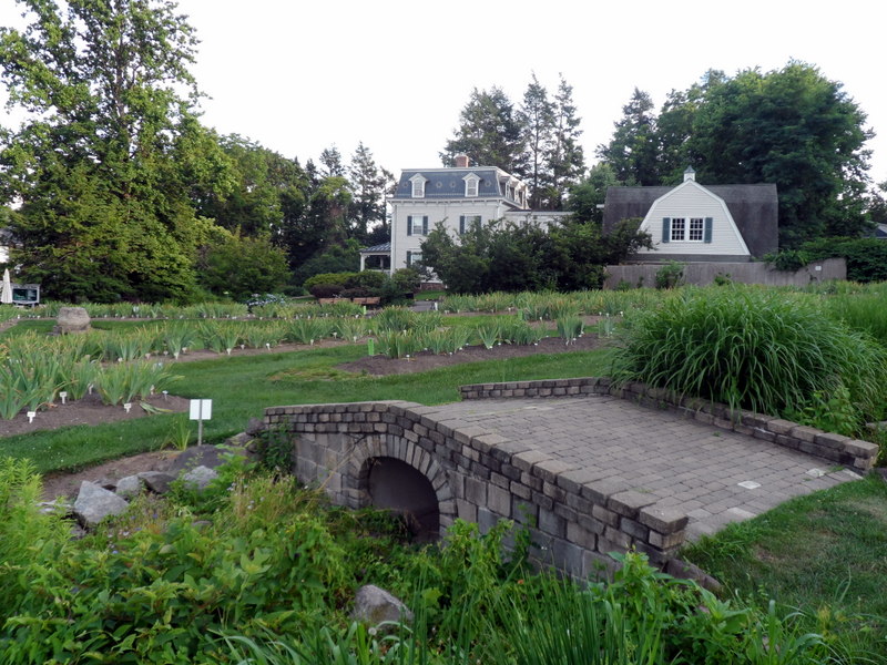 File The Presby Iris Gardens Of Nj Jpg Wikimedia Commons