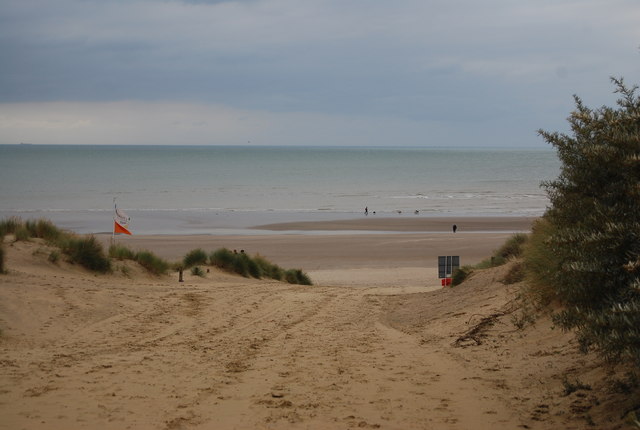 can dogs go camber beach