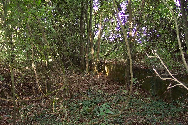 File:The remains of Fullerton Junction - geograph.org.uk - 62391.jpg