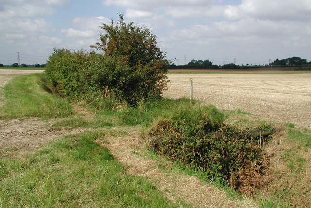 File:Thirtleby and Wyton Drain - geograph.org.uk - 551274.jpg