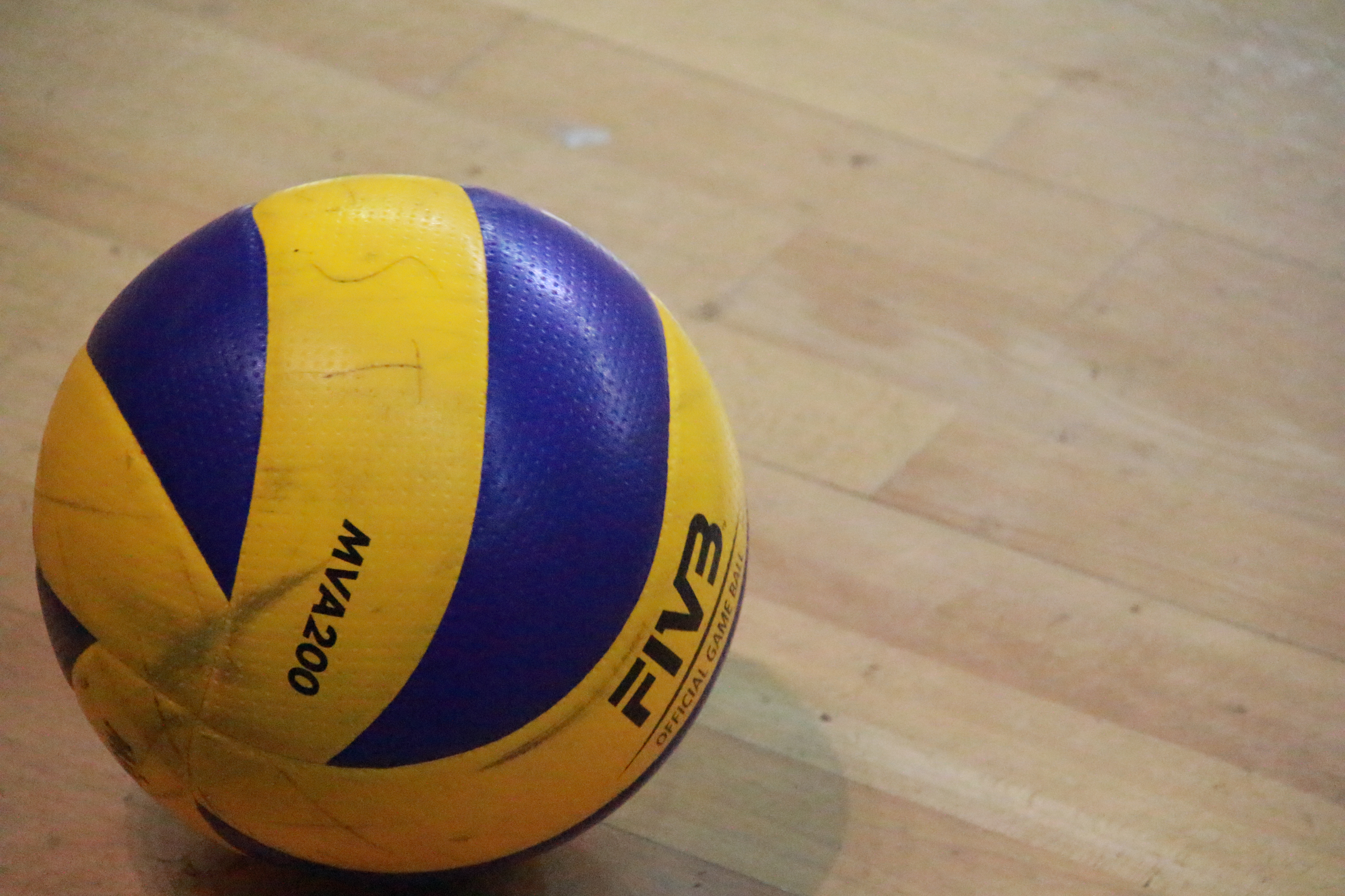 ballon de volley ball